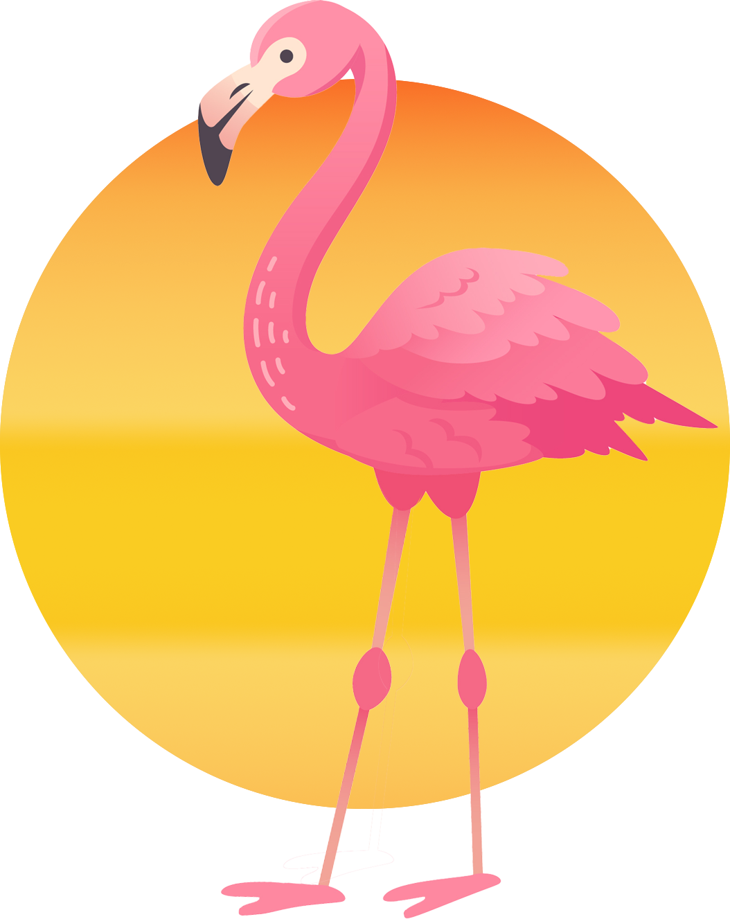 P-FLAMINGO-1